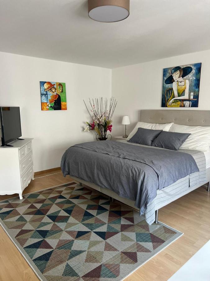 Appartamento Schweiz Basilea Esterno foto