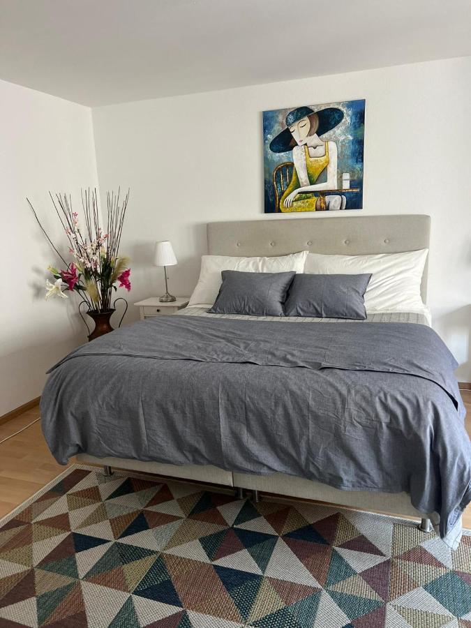 Appartamento Schweiz Basilea Esterno foto