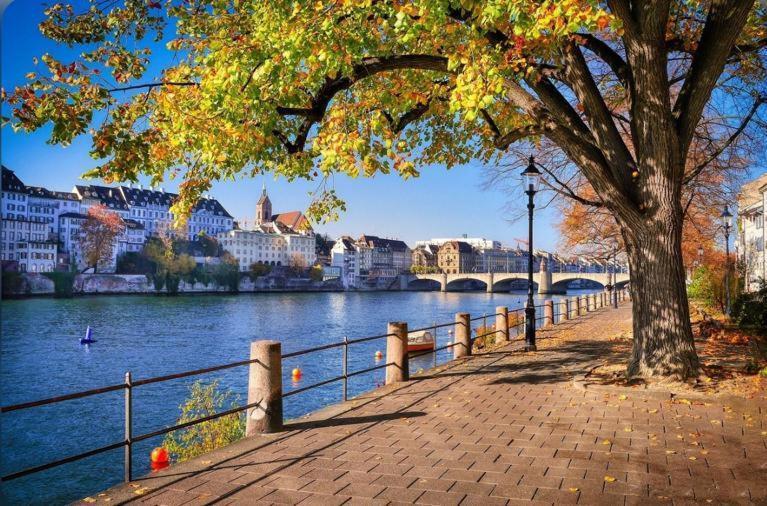 Appartamento Schweiz Basilea Esterno foto